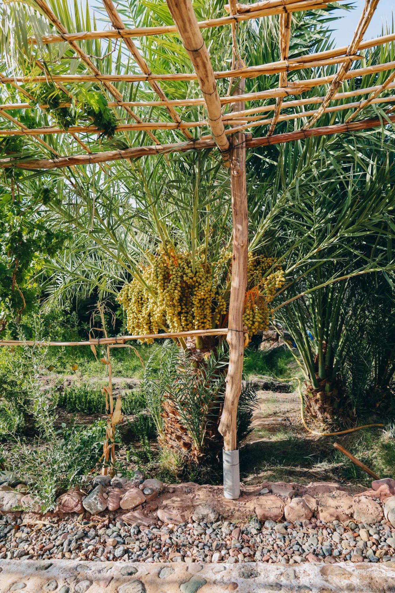 Riad Aman Skoura Luaran gambar